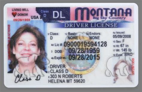 montana rrt license verification